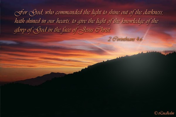 The Light Shines