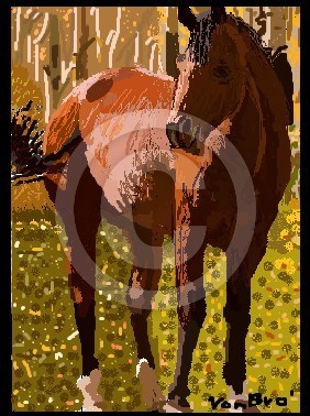horse (colt)