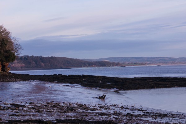 Severn Estuary
