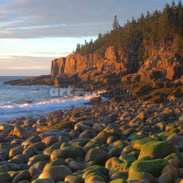 Otter Cliffs At Sunrise