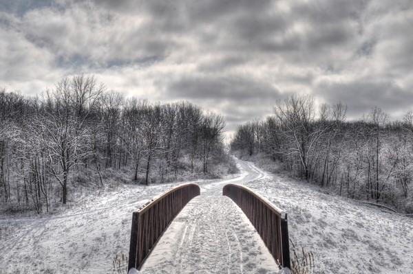 Winter at Raceway Woods