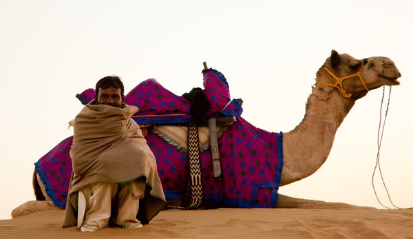 Camel and driver; Thar desert, Rajasthan, India
