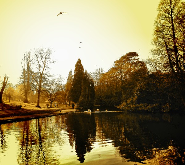 hazy days of winter