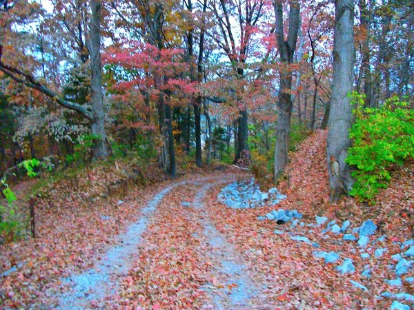 Kentucky Rural Getaway