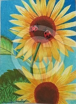 Sunflowers N Ladybugs
