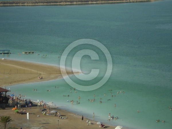 The Dead Sea 