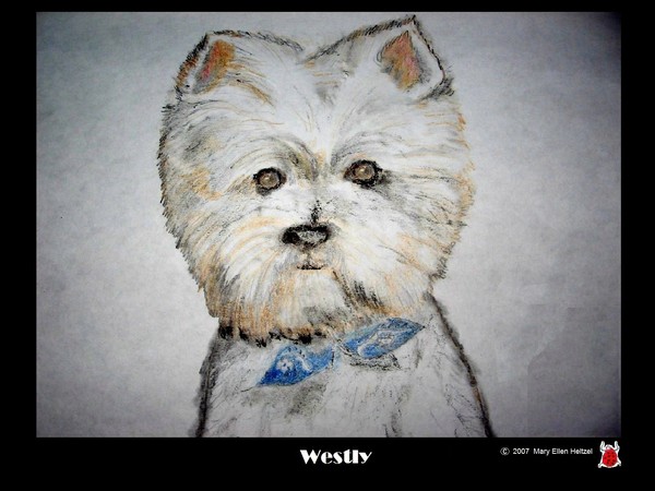 Westy's new Bowtie