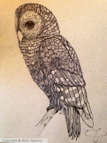 Owl