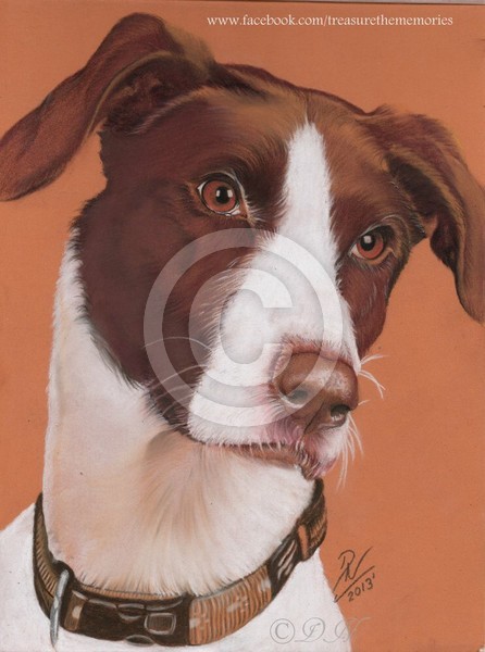 Benni