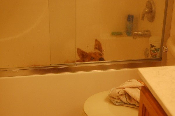 A little privacy please!