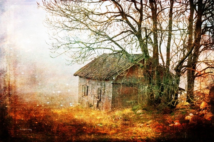 Decaying Story