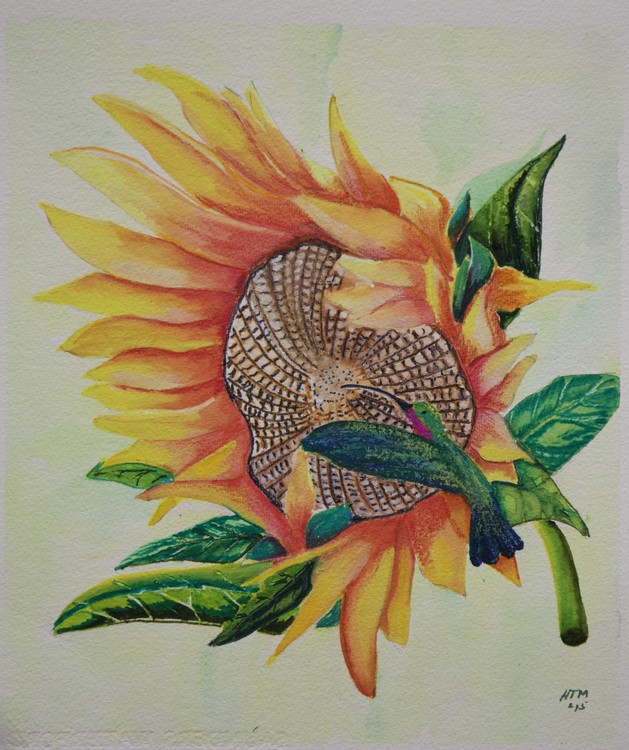 Sunflower