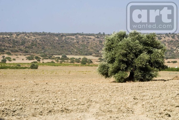 Cyprus Summer landscape