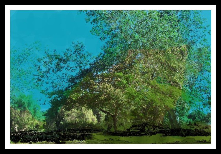 classical tree