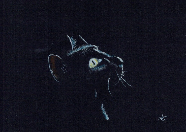 Casper