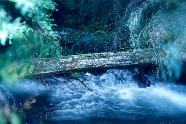Fast flow