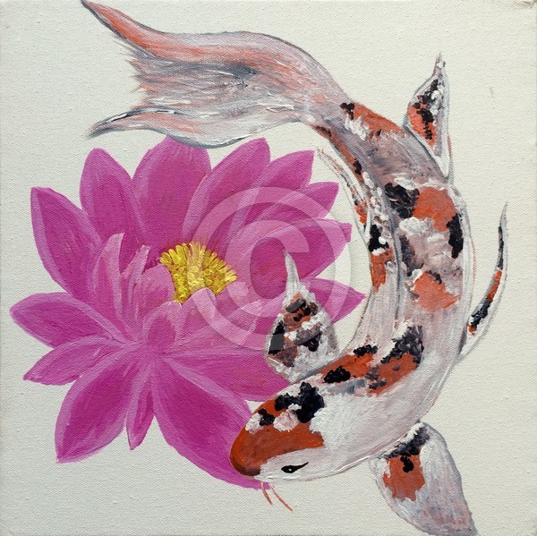 Pink lotus Koi