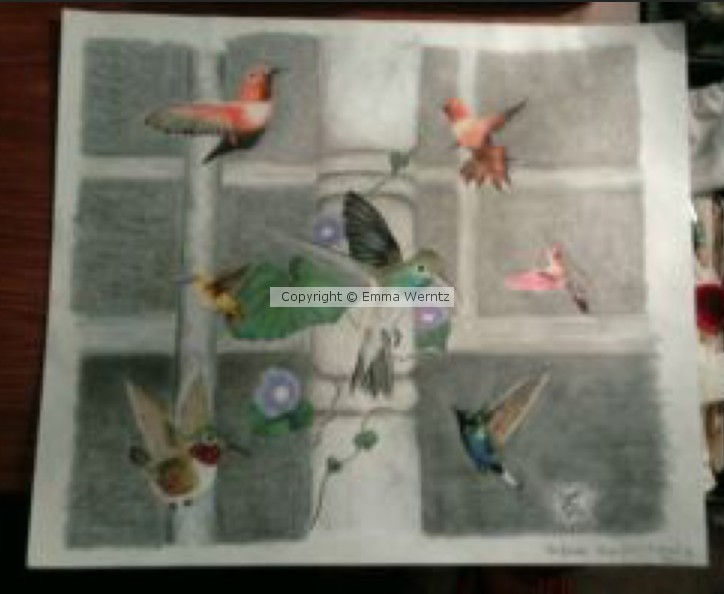 Hummingbirds