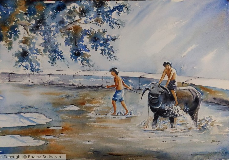 Stubborn Buffalo