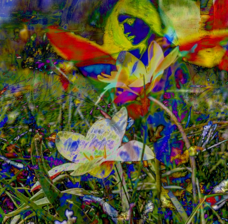 IMG 20190421 123658 144