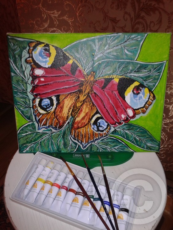 Butterfly