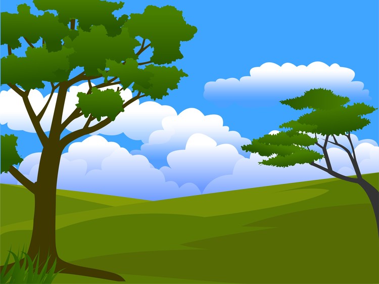 green field in sunny day
