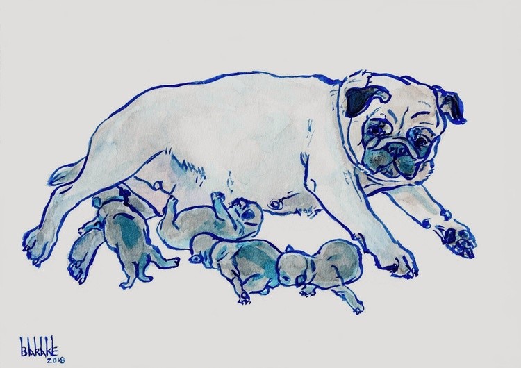 BLUE PUG MATERNITY