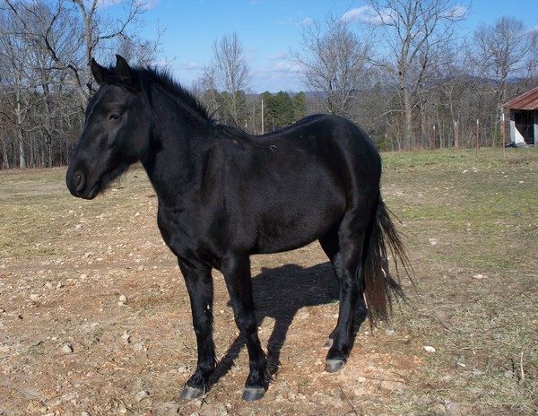 Black as Coal