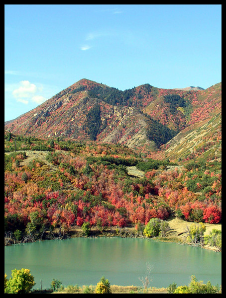 Autumn 