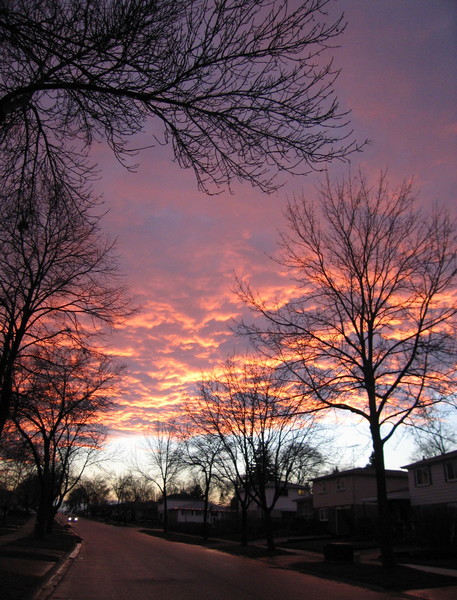 Sky