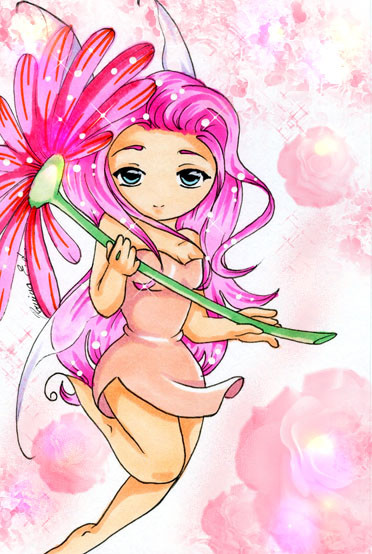 Gerbera fairy