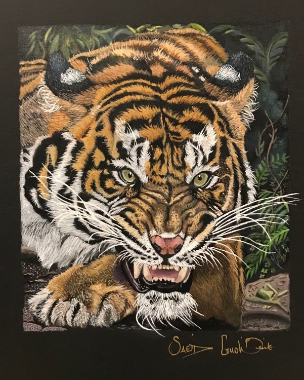 Tiger face