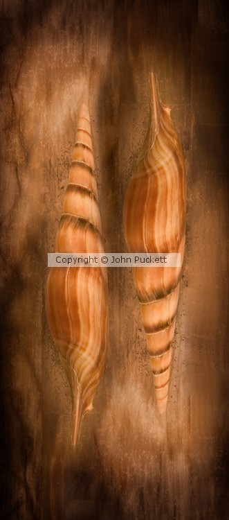 CRW 7438-print