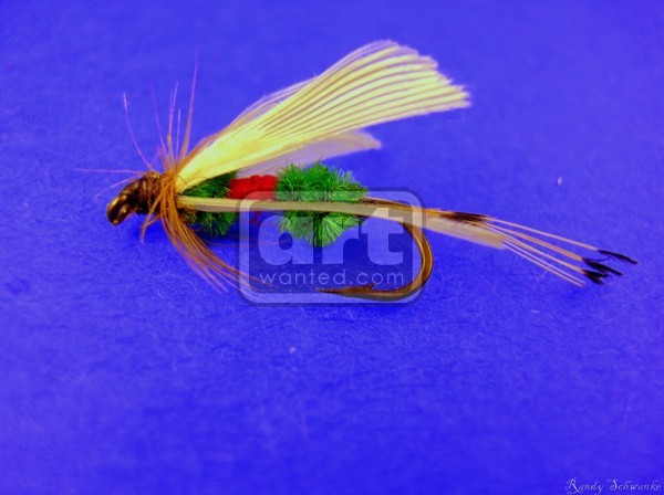 Isolated Trout Fly macro