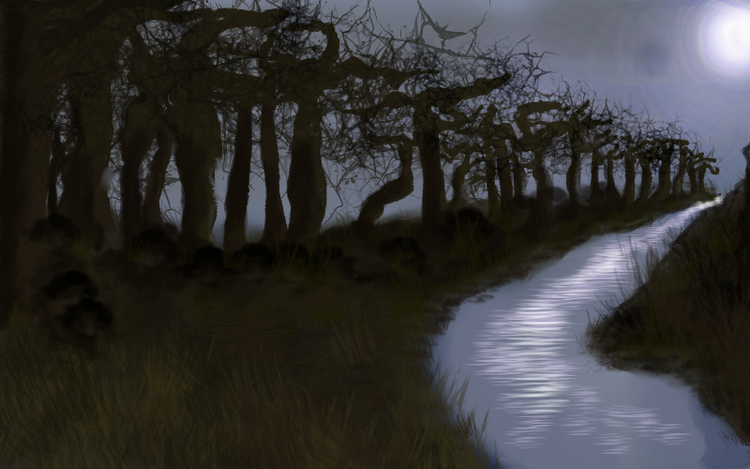 NIGHT BUSH