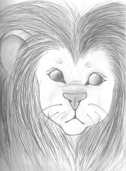lion