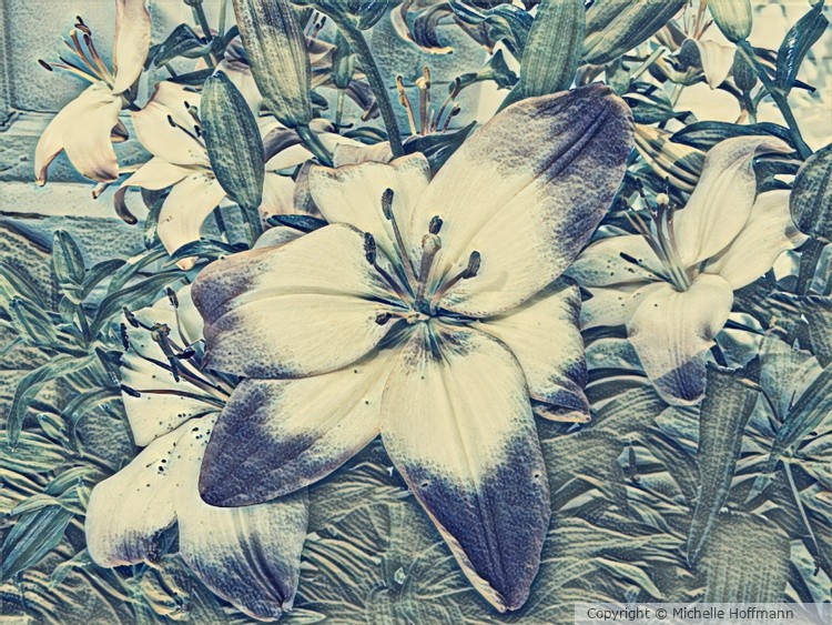 Lily In Blue