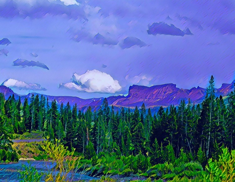 Into The Wilderness