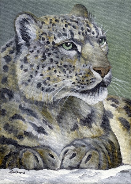 Snow Queen - Snow Leopard
