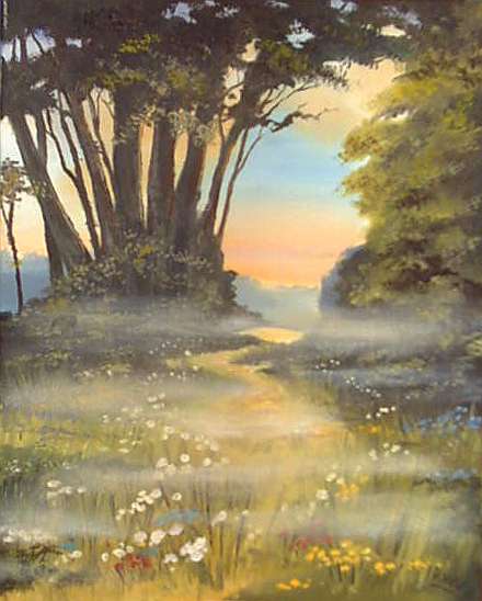 Misty forest