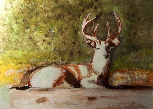 before hunting season