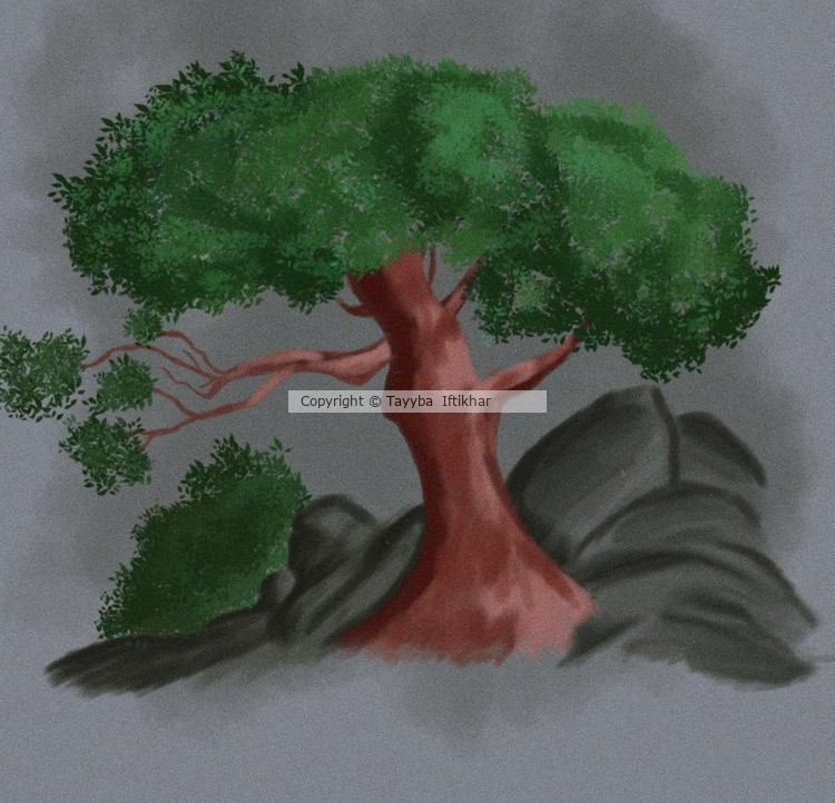 A tree