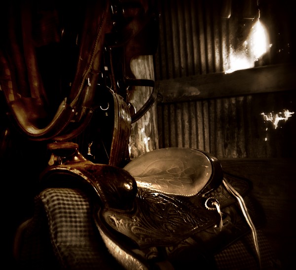 Saddle