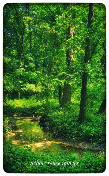 What a wonderful world. 