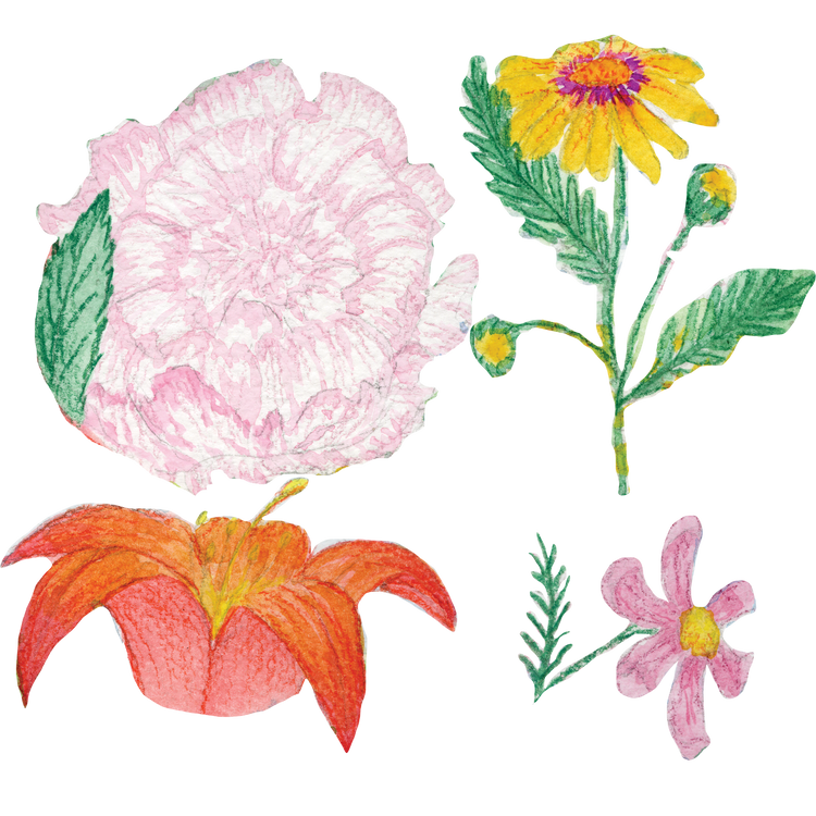 SummerStickers Calong