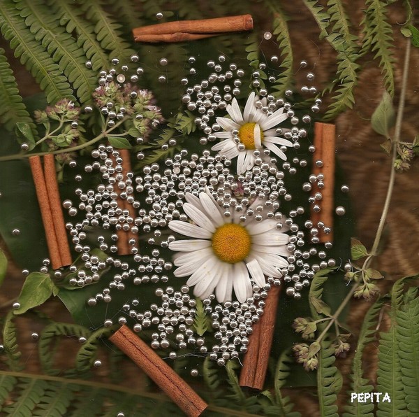 Power to the flower 7