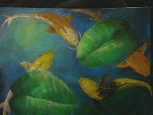 koi pond