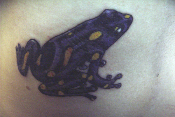 frog