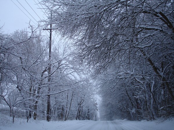 Winter Drive 