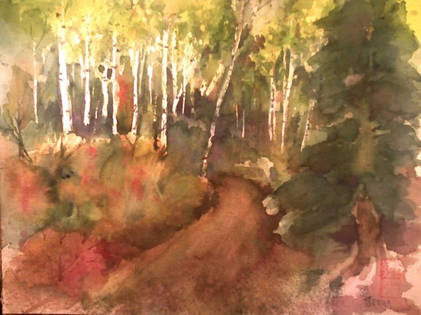 birch